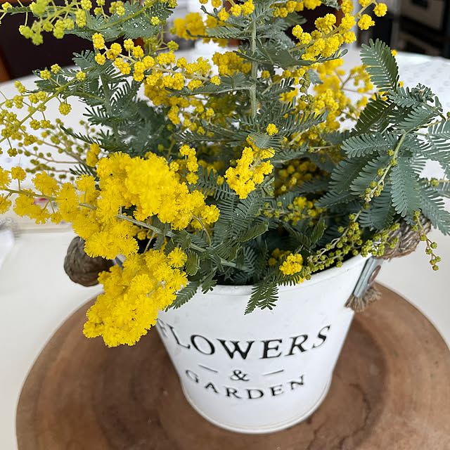 Andaluciaさんの部屋