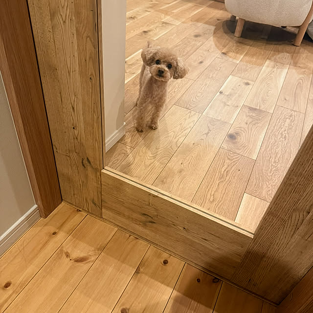 Monさんの実例写真