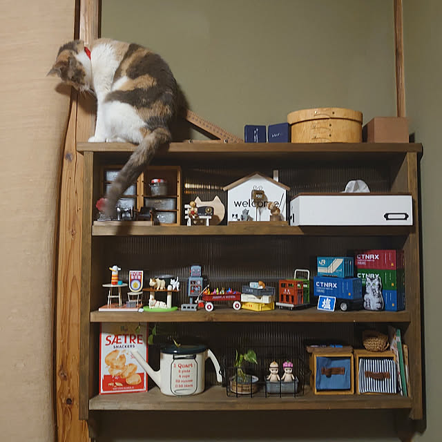 fukuさんの実例写真