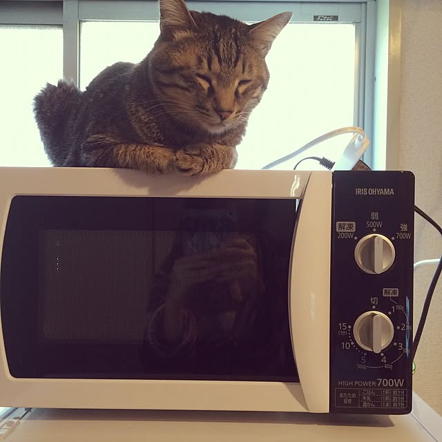 Esunoさんの実例写真