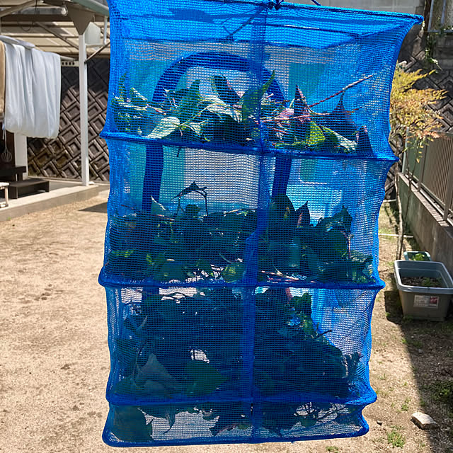 bambiさんの部屋