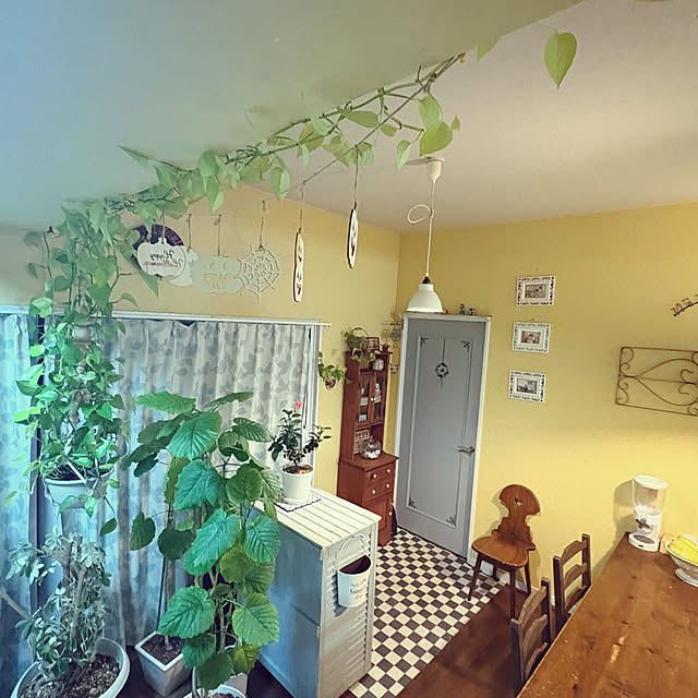 masayoさんの部屋