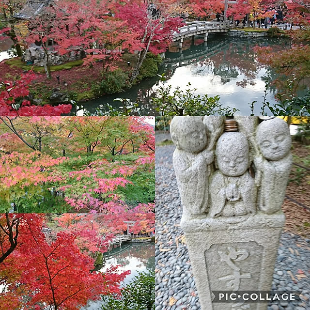 mashanさんの実例写真