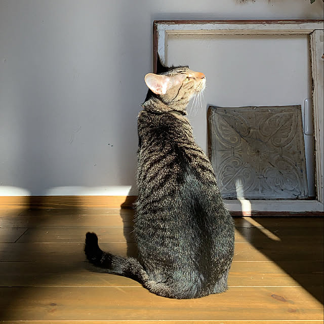 hiroさんの実例写真