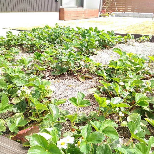 sonaさんの実例写真