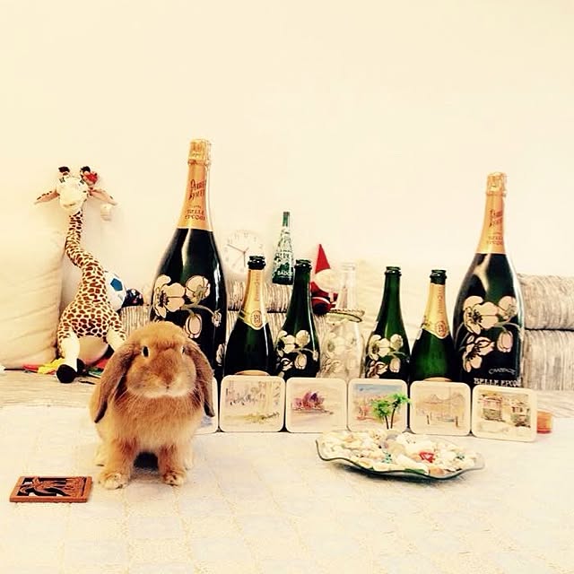 MARIさんの実例写真