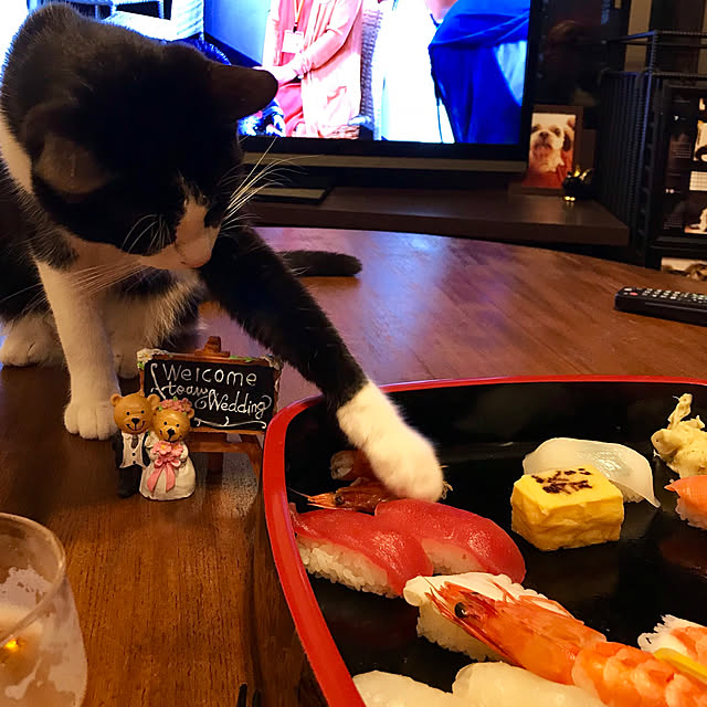 butachanさんの実例写真