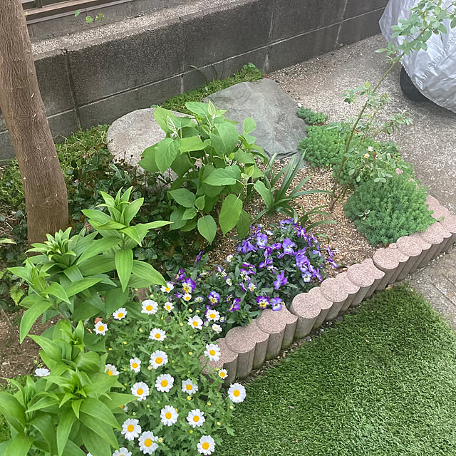 mamaさんの部屋