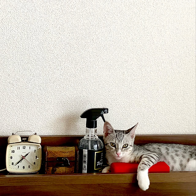 Honamiさんの実例写真