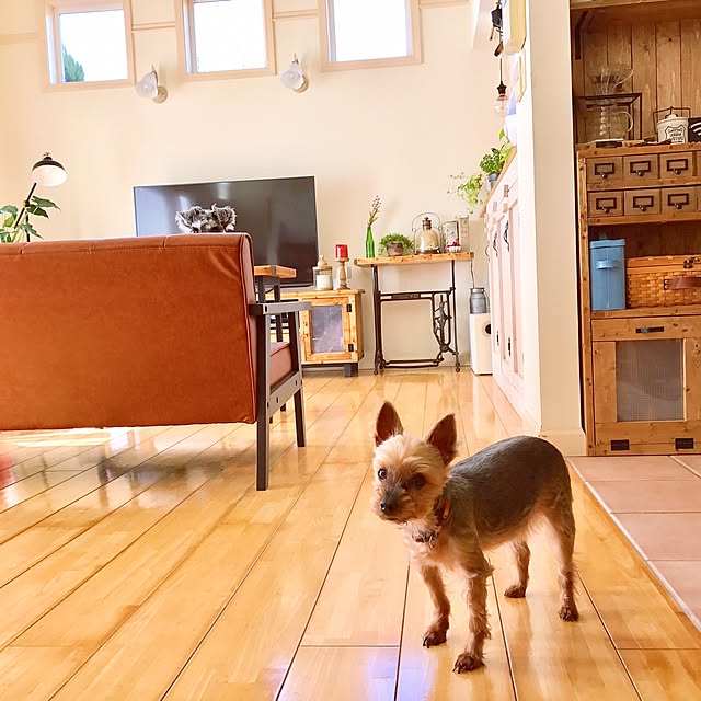 maguuさんの実例写真