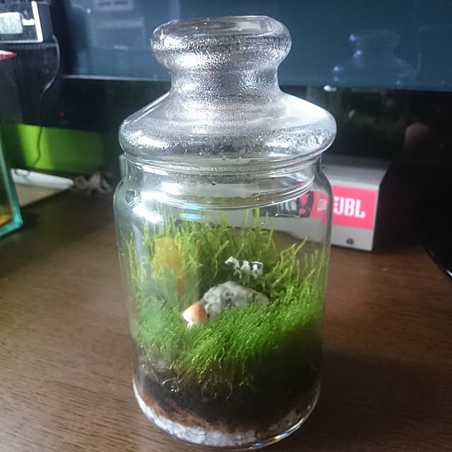Type.Rさんの実例写真