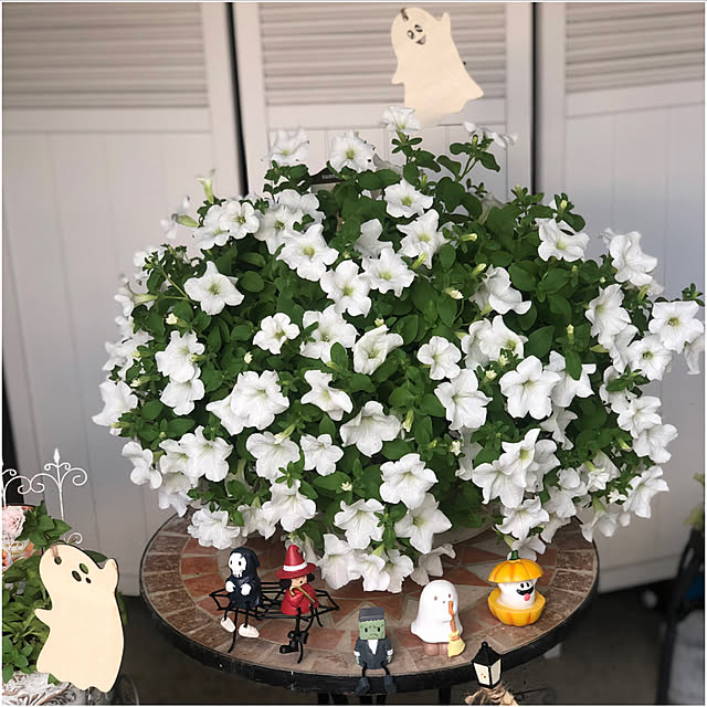 cocoさんの部屋
