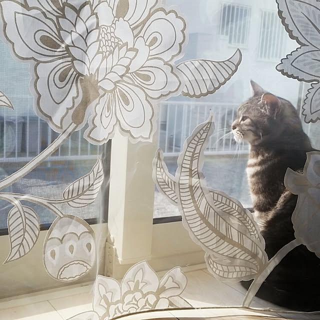 runayucoさんの実例写真