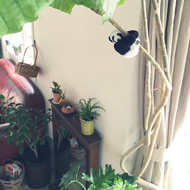 junさんの実例写真
