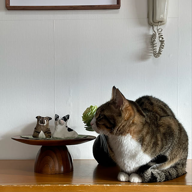 nobikoさんの実例写真