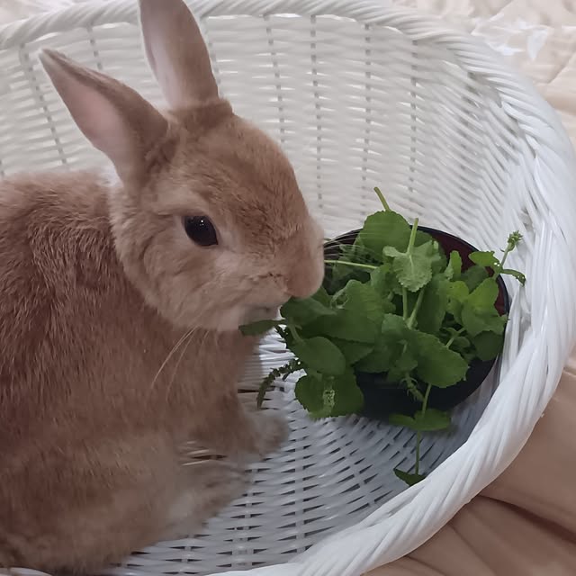 aiさんの部屋
