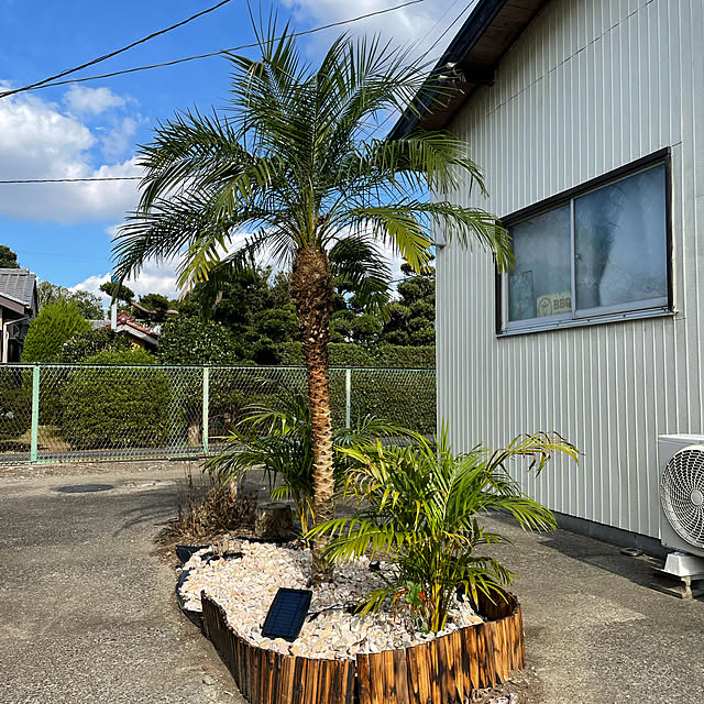 toniさんの実例写真