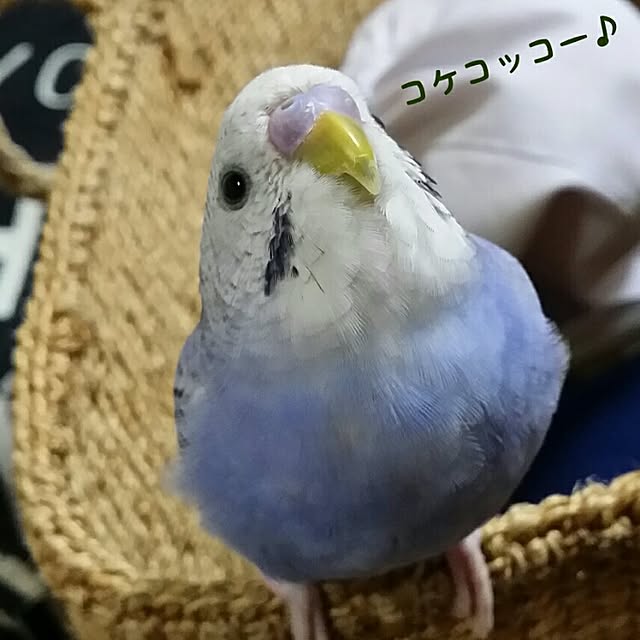 karinさんの実例写真