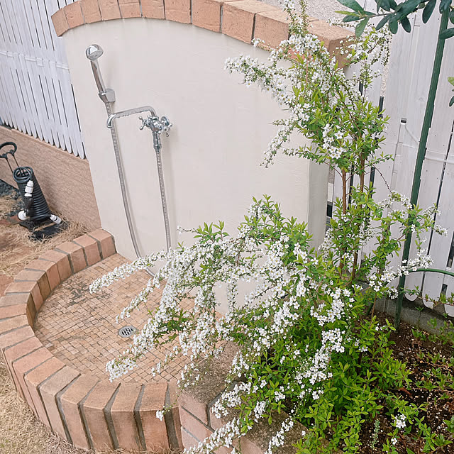 rinoさんの実例写真