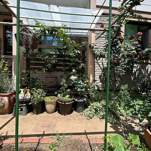 botanさんの部屋
