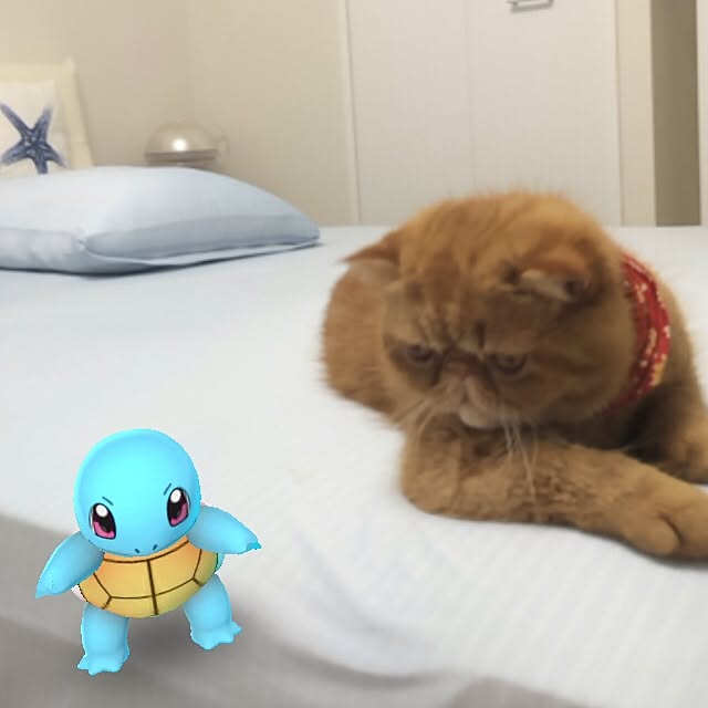 mamizoさんの実例写真