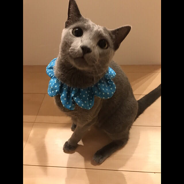 maripoさんの実例写真