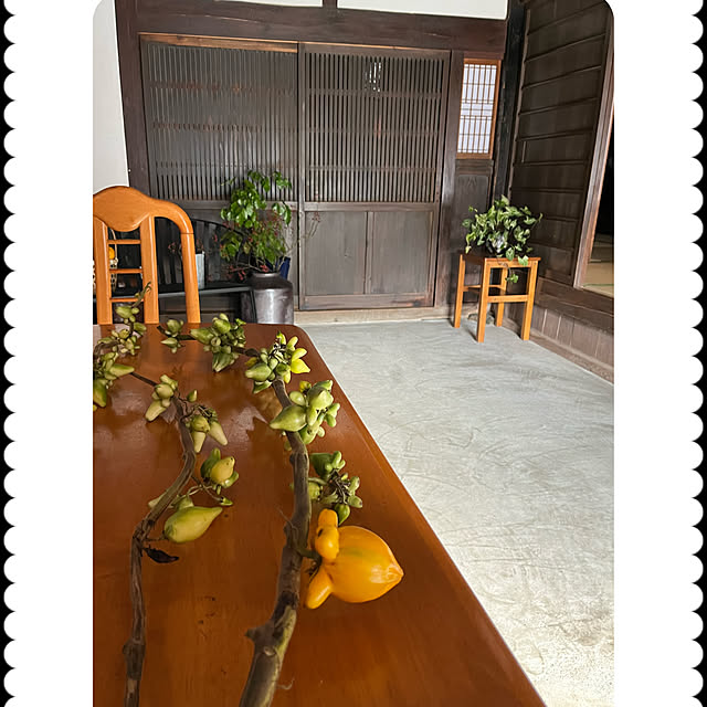 cotaさんの実例写真