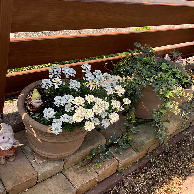 haruminさんの部屋