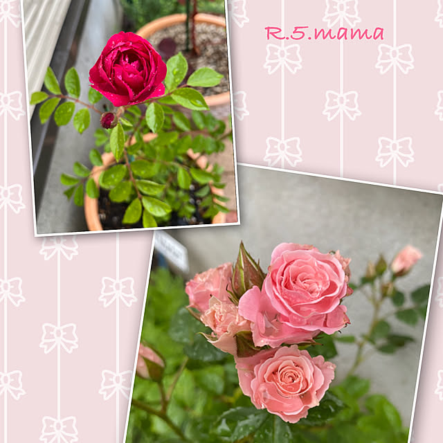 R.5.mamaさんの実例写真