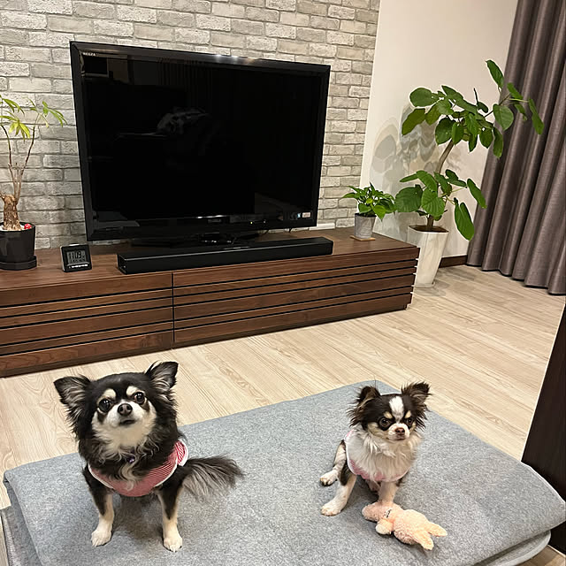 Hannahさんの実例写真