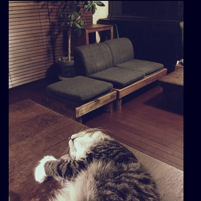 jnkaiさんの実例写真