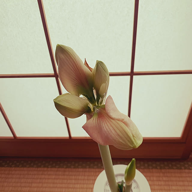 nannoさんの実例写真