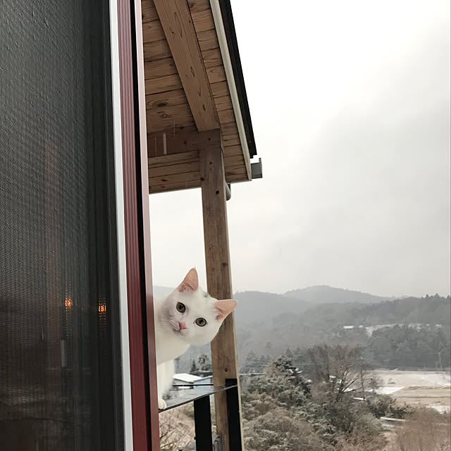 sakurasakuさんの実例写真