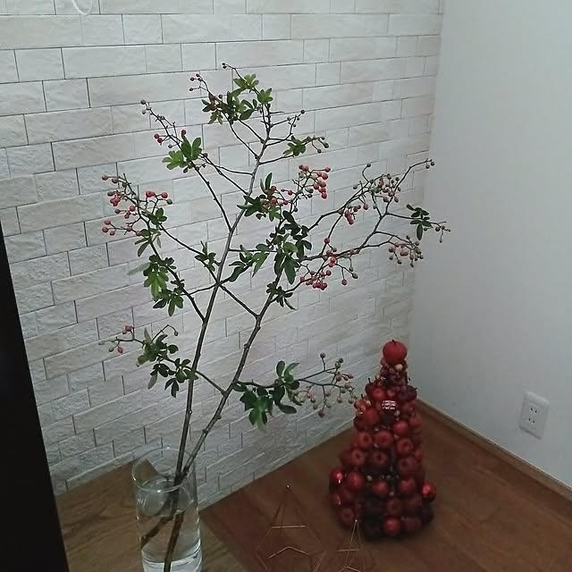 anemone37さんの部屋