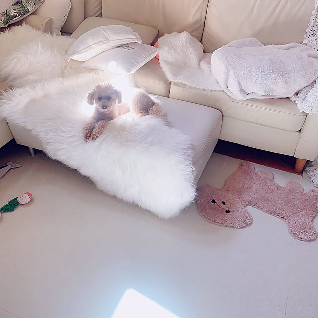Momoさんの部屋