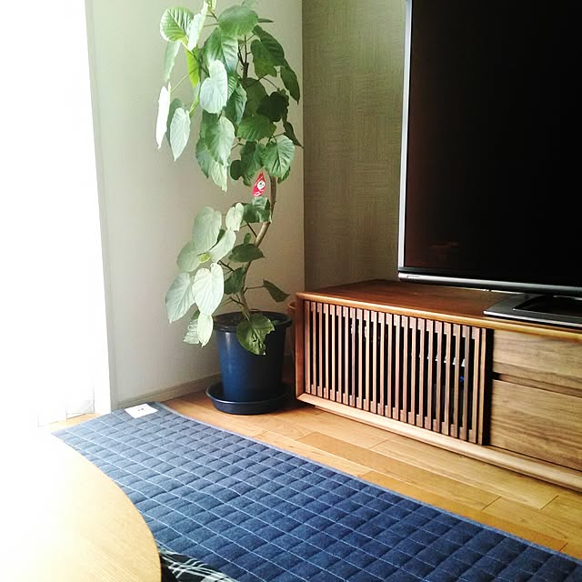 utさんの実例写真