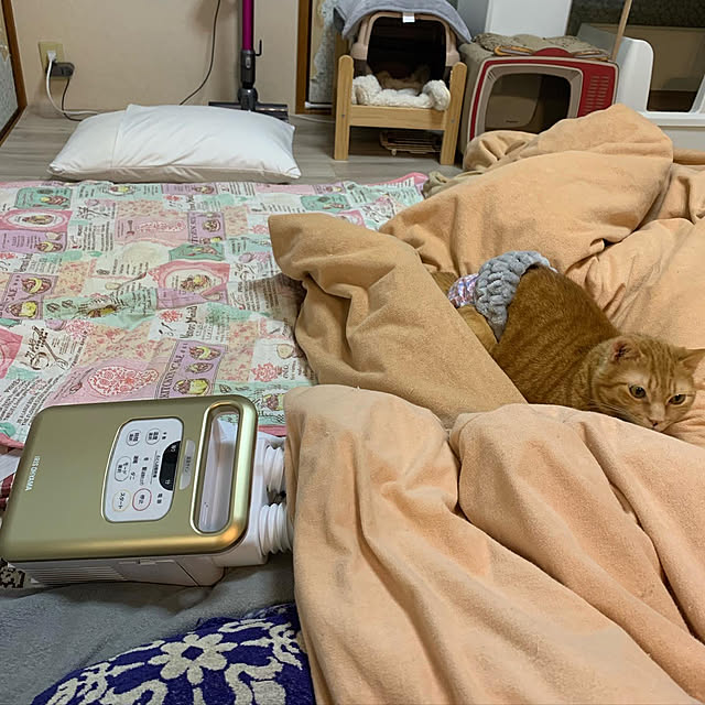 nekohagu2022さんの実例写真