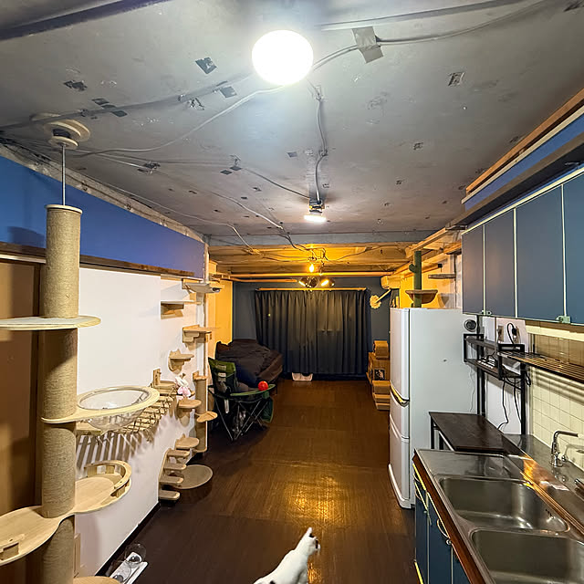 yuutamamehimaさんの部屋