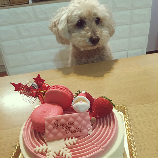 yukarimamaさんの実例写真
