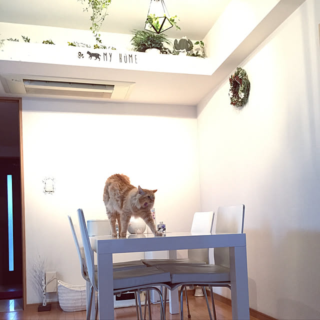 Ryokoさんの実例写真