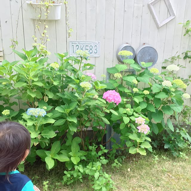 m_yng_さんの実例写真