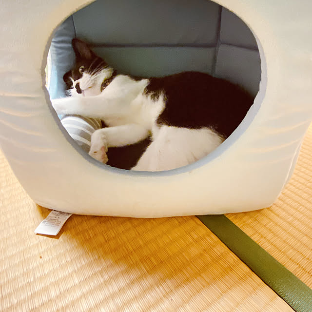 moolさんの実例写真