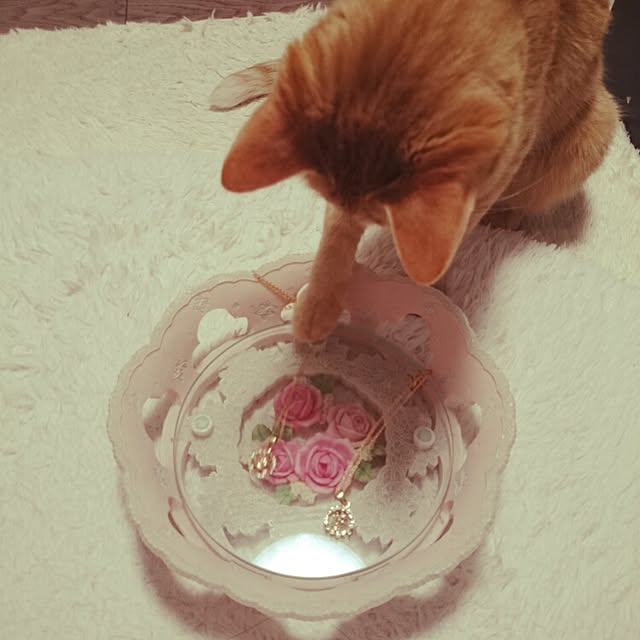 fu-ka24さんの実例写真