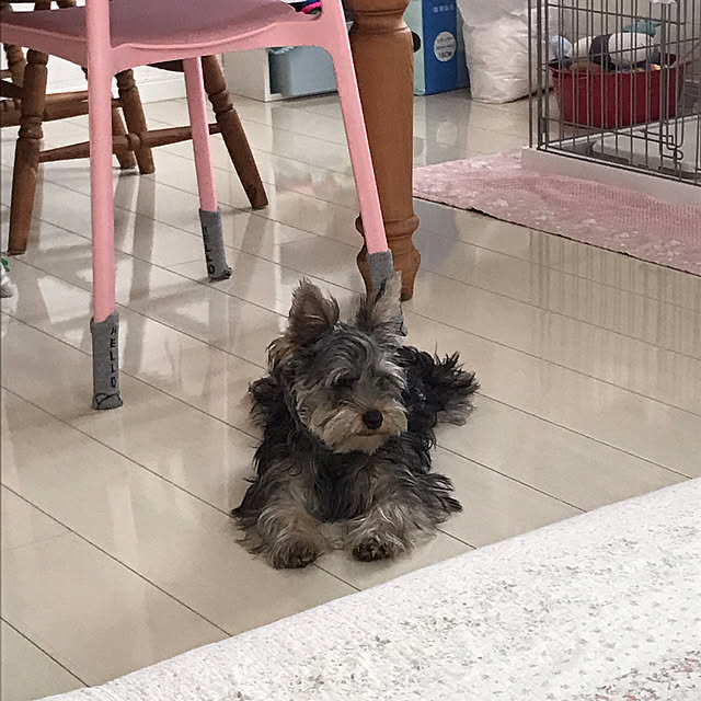 marikoさんの部屋
