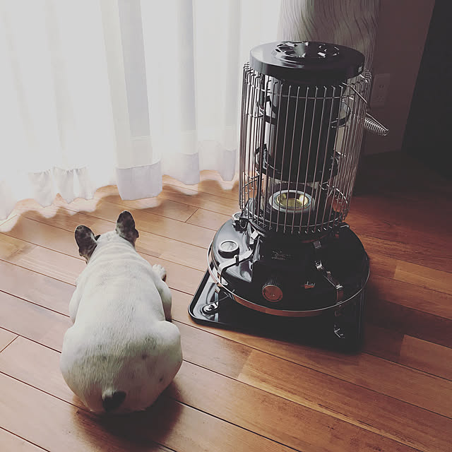 Mさんの実例写真