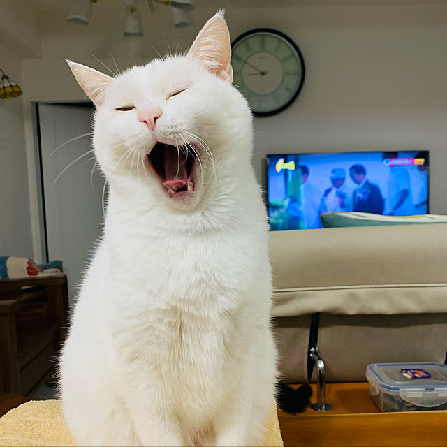 pcu110さんの実例写真