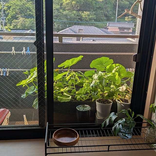 hararanranさんの部屋
