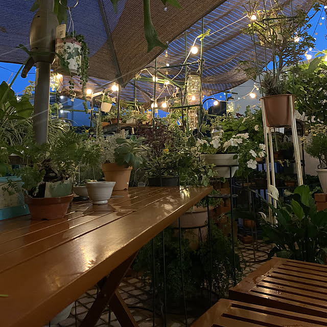 Aqettyさんの部屋
