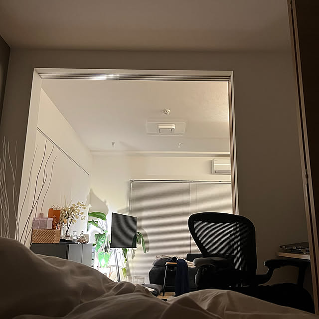 部屋全体/観葉植物/照明/IKEA/理想と日常の間のインテリア実例 - 2025-06-07 23:09:45