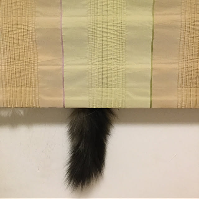 nanaさんの実例写真